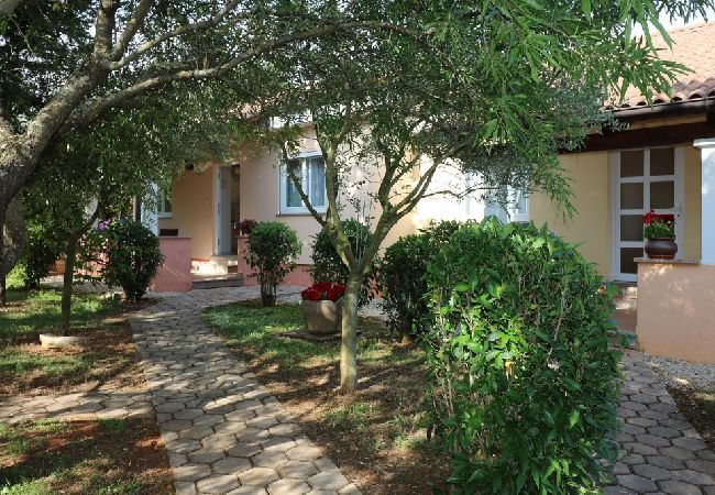 Dom w Porec - Domek wypoczynkowy w Poreč z taras, Klimatyzacja, WIFI, Zmywarka (4400-6) Dom w Porec - Domek wypoczynkowy w Poreč z taras, Klimatyzacja, WIFI, Zmywarka (4400-6)