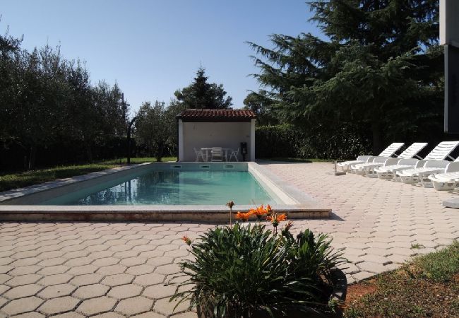 Dom w Porec - Domek wypoczynkowy w Poreč z taras, Klimatyzacja, WIFI, Zmywarka (4400-5) Dom w Porec - Domek wypoczynkowy w Poreč z taras, Klimatyzacja, WIFI, Zmywarka (4400-5)