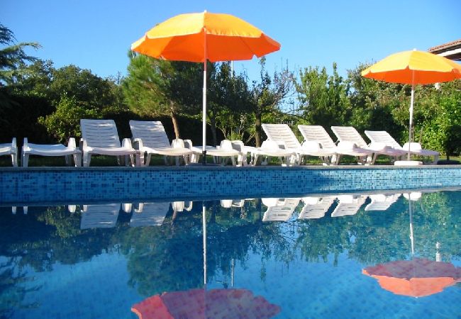 Dom w Porec - Domek wypoczynkowy w Poreč z taras, Klimatyzacja, WIFI, Zmywarka (4400-5) Dom w Porec - Domek wypoczynkowy w Poreč z taras, Klimatyzacja, WIFI, Zmywarka (4400-5)