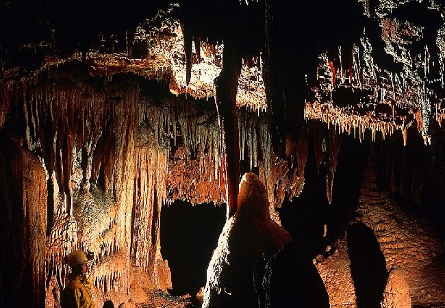 Apartament w Porec - Apartament w Poreču z tarasem, klimatyzacją, Wi-Fi, zmywarką (4400-10) Apartament w Porec - Apartament w Poreču z tarasem, klimatyzacją, Wi-Fi, zmywarką (4400-10)