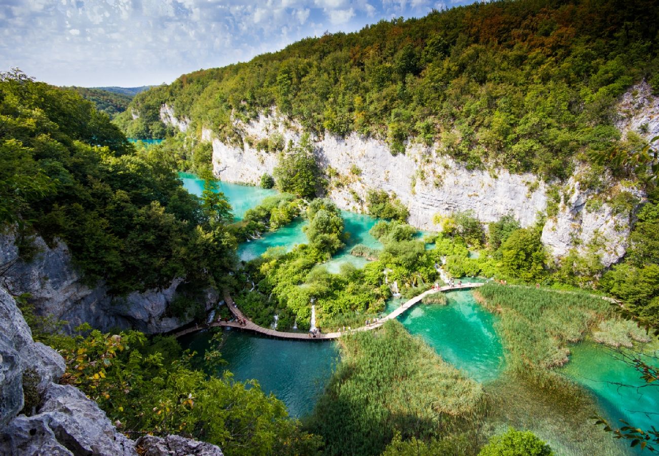 Dom w Rakovica - Domek wypoczynkowy w Rakovica z taras, WIFI, Pralka (4488-2)