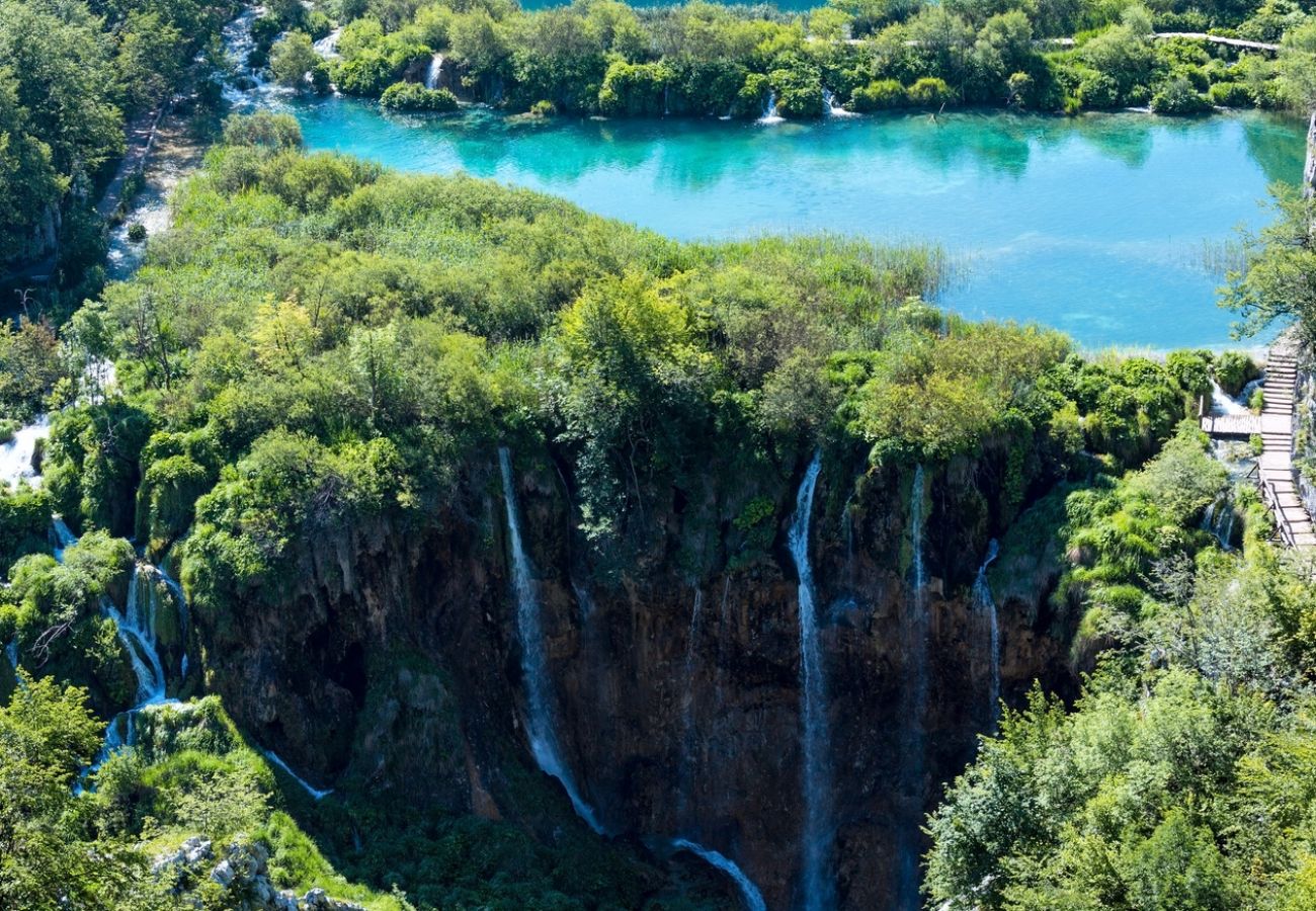 Dom w Rakovica - Domek wypoczynkowy w Rakovica z taras, WIFI, Pralka (4488-2)