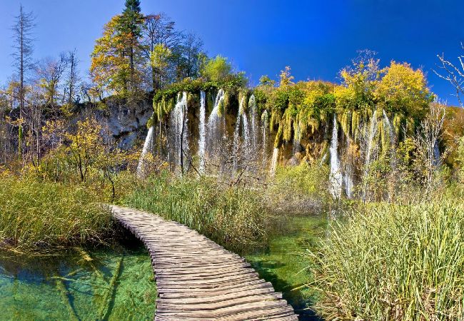 Dom w Rakovica - Domek wypoczynkowy w Rakovica z taras, WIFI, Pralka (4488-1) Dom w Rakovica - Domek wypoczynkowy w Rakovica z taras, WIFI, Pralka (4488-1)