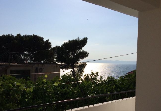 Apartament w Podgora - Apartament w Podgora z Widok na morze, taras, Klimatyzacja, WIFI (4492-3) Apartament w Podgora - Apartament w Podgora z Widok na morze, taras, Klimatyzacja, WIFI (4492-3)