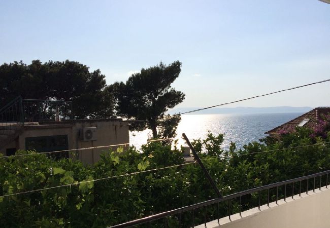 Apartament w Podgora - Apartament w Podgora z Widok na morze, taras, Klimatyzacja, WIFI (4492-3) Apartament w Podgora - Apartament w Podgora z Widok na morze, taras, Klimatyzacja, WIFI (4492-3)