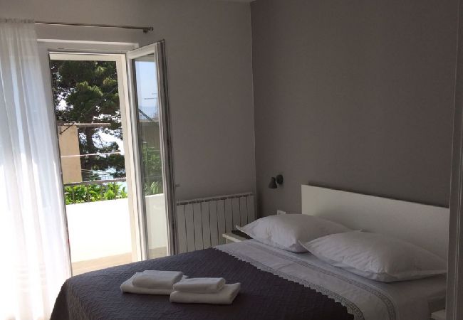Apartament w Podgora - Apartament w Podgora z Widok na morze, taras, Klimatyzacja, WIFI (4492-3) Apartament w Podgora - Apartament w Podgora z Widok na morze, taras, Klimatyzacja, WIFI (4492-3)