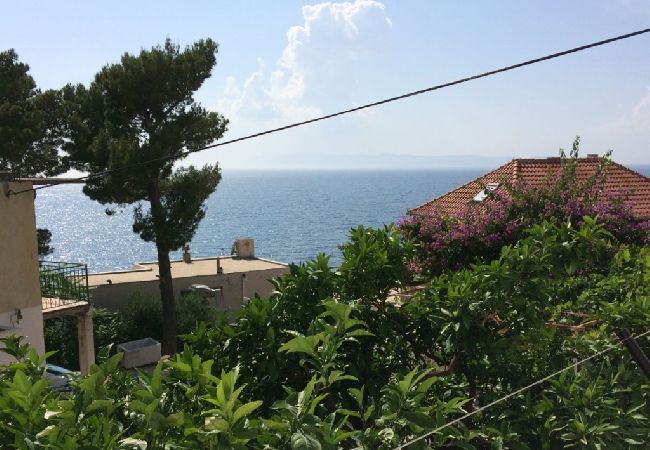 Apartament w Podgora - Apartament w Podgora z Widok na morze, taras, Klimatyzacja, WIFI (4492-3) Apartament w Podgora - Apartament w Podgora z Widok na morze, taras, Klimatyzacja, WIFI (4492-3)