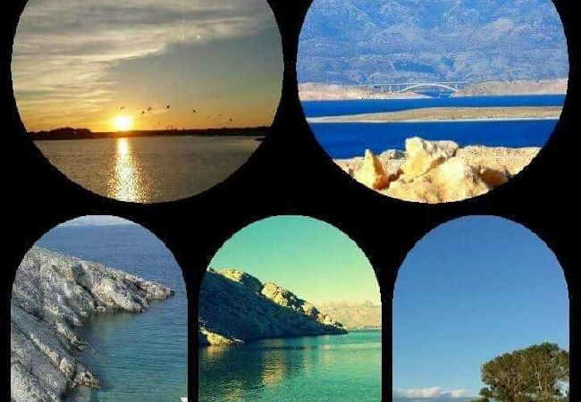 Apartament w Vrsi - Apartament w Vrsi z balkon, Klimatyzacja, WIFI (4494-3) Apartament w Vrsi - Apartament w Vrsi z balkon, Klimatyzacja, WIFI (4494-3)