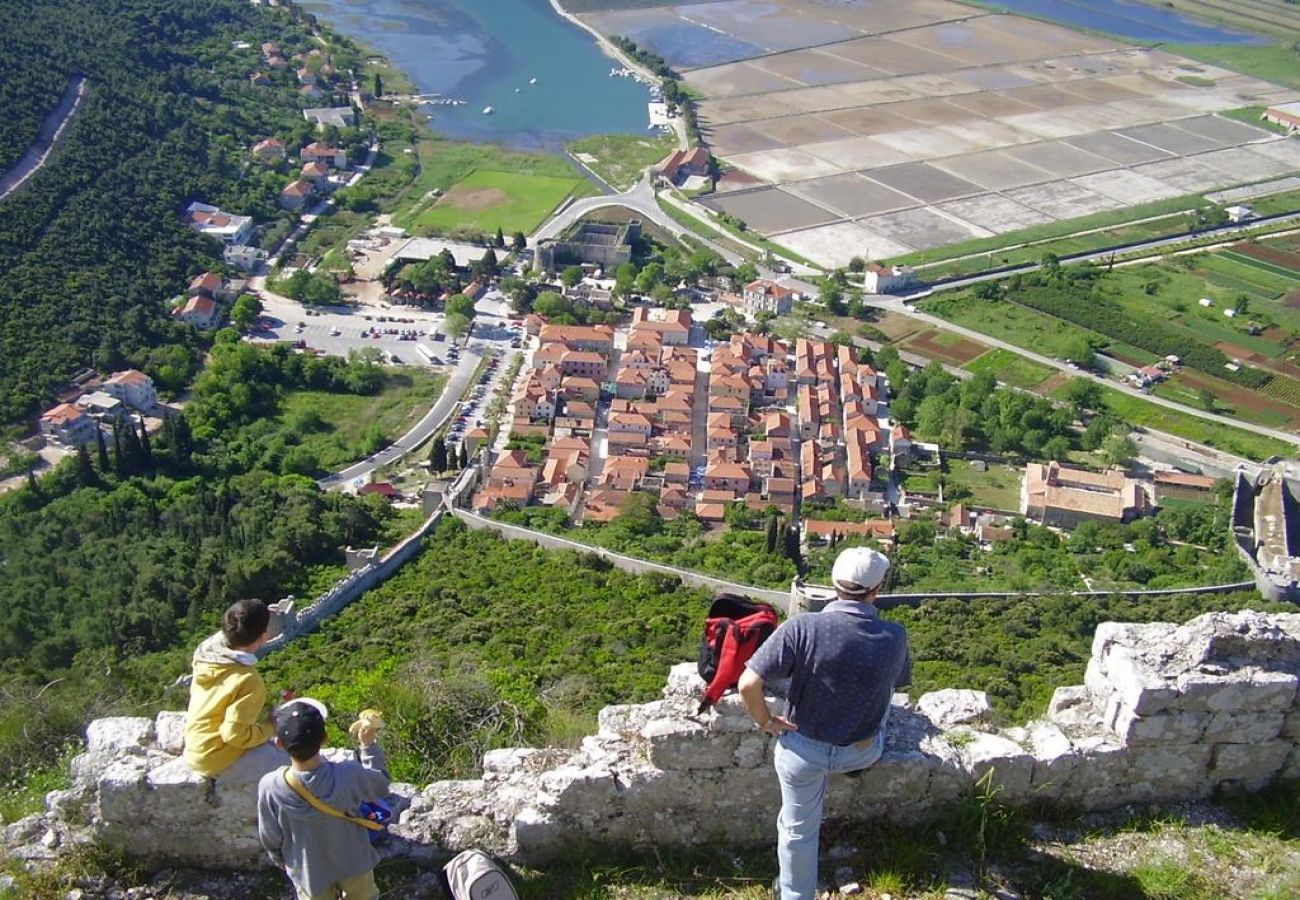 Dom w Mali Ston - Domek wypoczynkowy w Ston z taras, Klimatyzacja, WIFI, Pralka (4542-1)