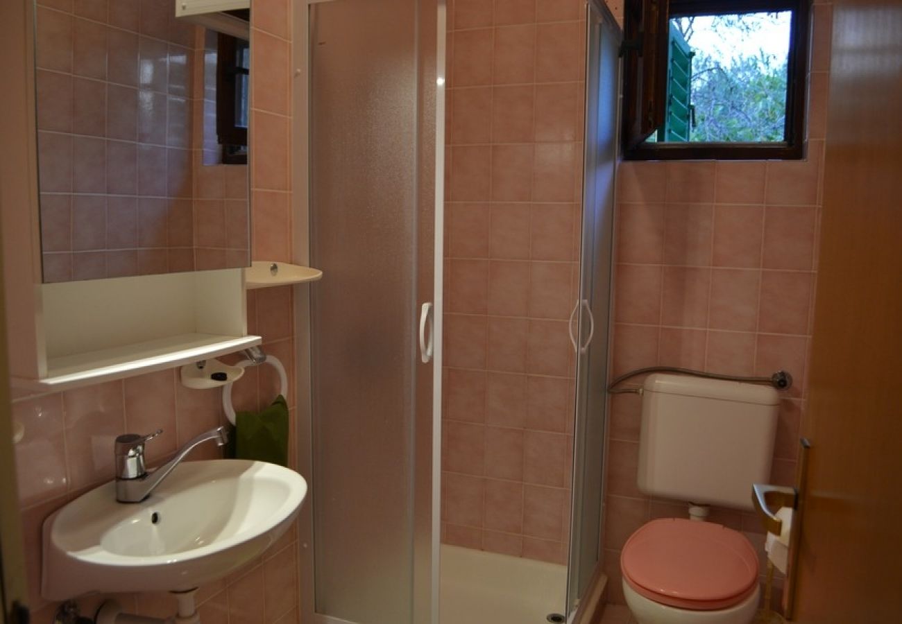 Apartament w Supetarska Draga - Apartament w Supetarska Draga z Widok na morze, taras, Klimatyzacja, WIFI (4552-8)