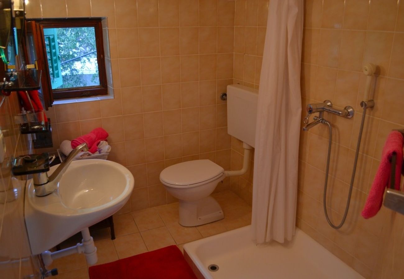 Apartament w Supetarska Draga - Apartament w Supetarska Draga z Widok na morze, taras, Klimatyzacja, WIFI (4552-10)