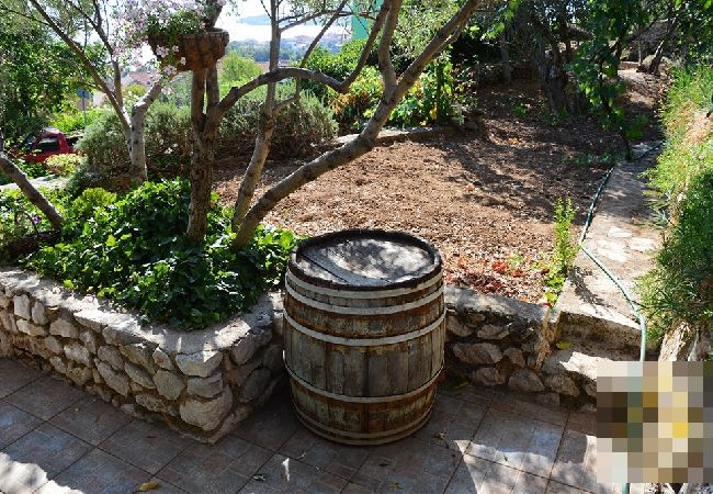 Apartament w Preko - Apartament w Preko z Widok na morze, taras, Klimatyzacja, WIFI (4574-1) Apartament w Preko - Apartament w Preko z Widok na morze, taras, Klimatyzacja, WIFI (4574-1)