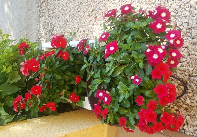 Apartament w Vir - Apartament w Vir z taras, Klimatyzacja, WIFI (4594-1) Apartament w Vir - Apartament w Vir z taras, Klimatyzacja, WIFI (4594-1)