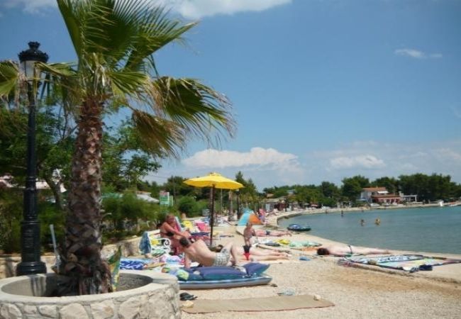 Apartament w Vir - Apartament w Vir z taras, Klimatyzacja, WIFI (4594-1) Apartament w Vir - Apartament w Vir z taras, Klimatyzacja, WIFI (4594-1)