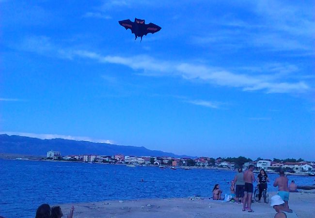 Apartament w Vir - Apartament w Vir z taras, Klimatyzacja, WIFI (4594-1) Apartament w Vir - Apartament w Vir z taras, Klimatyzacja, WIFI (4594-1)