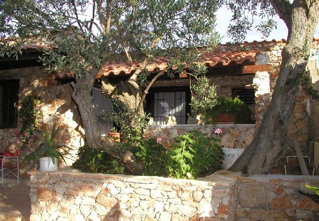 Studio w Ražanj - Apartament Studio w Ražanj z taras, Klimatyzacja, WIFI (4597-1) Studio w Ražanj - Apartament Studio w Ražanj z taras, Klimatyzacja, WIFI (4597-1)