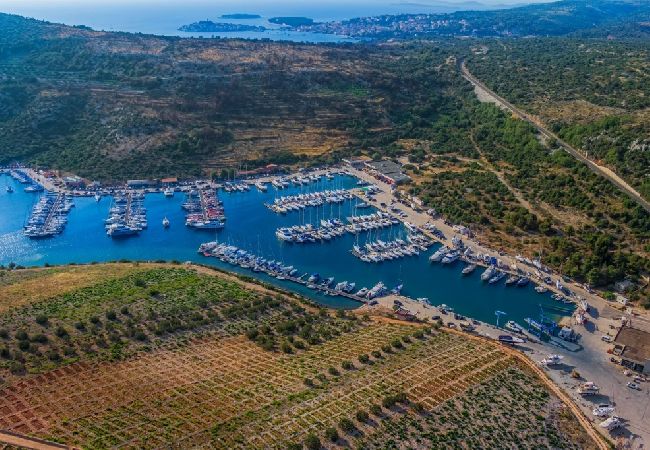 Studio w Ražanj - Apartament Studio w Ražanj z taras, Klimatyzacja, WIFI (4597-1) Studio w Ražanj - Apartament Studio w Ražanj z taras, Klimatyzacja, WIFI (4597-1)