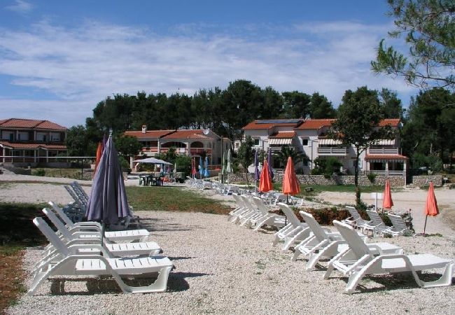 Apartament w Vir - Apartament w Vir z balkon, Klimatyzacja, WIFI (4595-1) Apartament w Vir - Apartament w Vir z balkon, Klimatyzacja, WIFI (4595-1)