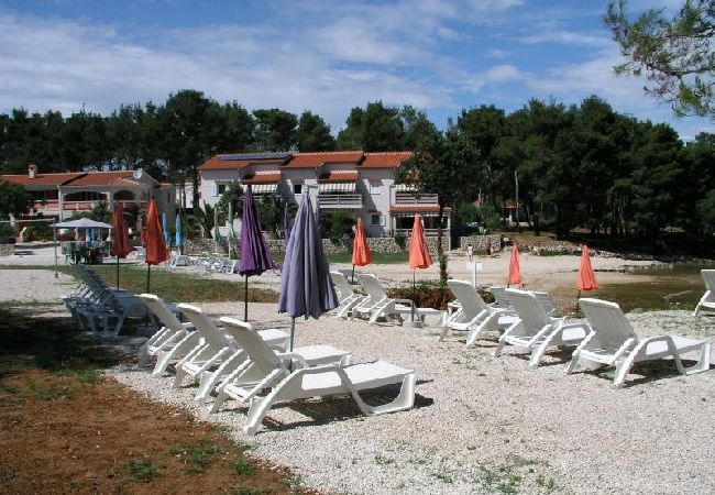 Apartament w Vir - Apartament w Vir z Widok na morze, taras, Klimatyzacja, WIFI (4595-5) Apartament w Vir - Apartament w Vir z Widok na morze, taras, Klimatyzacja, WIFI (4595-5)