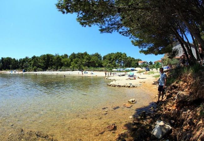 Apartament w Vir - Apartament w Vir z Widok na morze, taras, Klimatyzacja, WIFI (4595-5) Apartament w Vir - Apartament w Vir z Widok na morze, taras, Klimatyzacja, WIFI (4595-5)