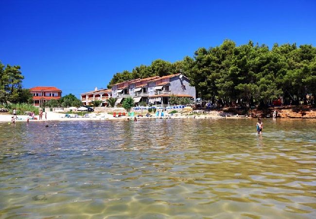 Apartament w Vir - Apartament w Vir z Widok na morze, taras, Klimatyzacja, WIFI (4595-5) Apartament w Vir - Apartament w Vir z Widok na morze, taras, Klimatyzacja, WIFI (4595-5)