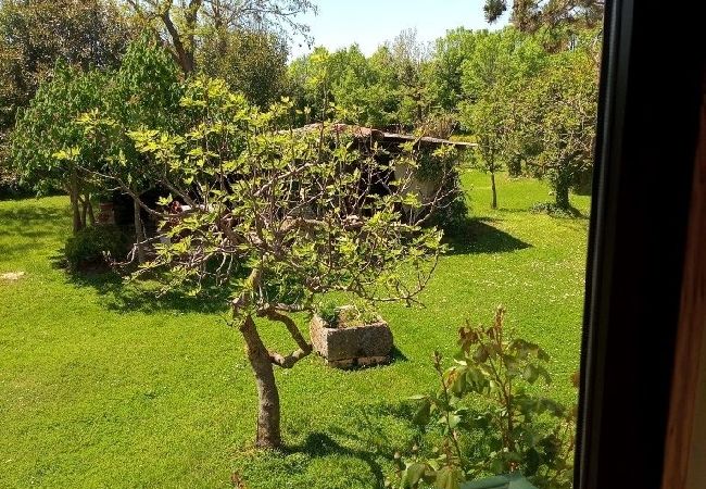 Apartament w Umag - Apartament w Umag z Klimatyzacja, WIFI (4222-1) Apartament w Umag - Apartament w Umag z Klimatyzacja, WIFI (4222-1)