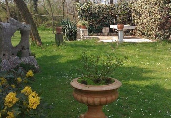 Apartament w Umag - Apartament w Umag z Klimatyzacja, WIFI (4222-1) Apartament w Umag - Apartament w Umag z Klimatyzacja, WIFI (4222-1)