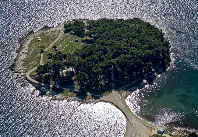 Apartament w Medulin - Apartament w Medulin z taras, Klimatyzacja, WIFI (4634-1) Apartament w Medulin - Apartament w Medulin z taras, Klimatyzacja, WIFI (4634-1)