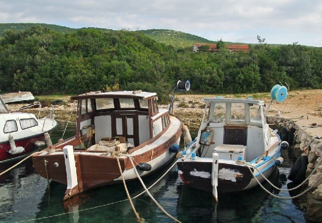 Dom w Pašman - Robinson dom w Pašman z Widok na morze, taras, Klimatyzacja, WIFI (4654-1) Dom w Pašman - Robinson dom w Pašman z Widok na morze, taras, Klimatyzacja, WIFI (4654-1)