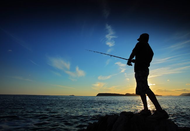 Apartament w Nevidane - Apartament w Neviđane z Widok na morze, taras, Klimatyzacja, WIFI (4663-2) Apartament w Nevidane - Apartament w Neviđane z Widok na morze, taras, Klimatyzacja, WIFI (4663-2)