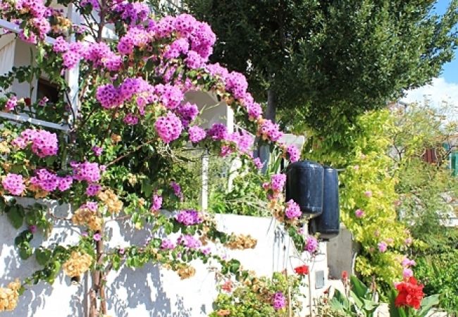 Apartament w Pisak - Apartament w Pisak z Widok na morze, taras, Klimatyzacja, WIFI (4722-1) Apartament w Pisak - Apartament w Pisak z Widok na morze, taras, Klimatyzacja, WIFI (4722-1)