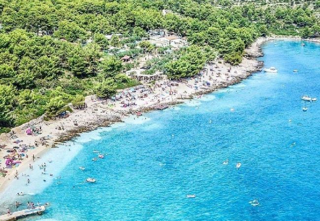 Apartament w Okrug Gornji - Apartament w Okrug Gornji z taras, Klimatyzacja, WIFI, Pralka (4736-1) Apartament w Okrug Gornji - Apartament w Okrug Gornji z taras, Klimatyzacja, WIFI, Pralka (4736-1)