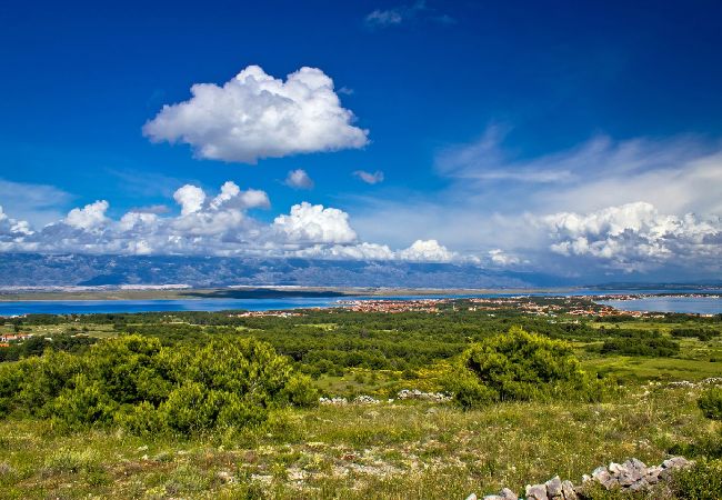 Dom w Vir - Domek wypoczynkowy w Vir z taras, Klimatyzacja, WIFI, Pralka (4740-1) Dom w Vir - Domek wypoczynkowy w Vir z taras, Klimatyzacja, WIFI, Pralka (4740-1)