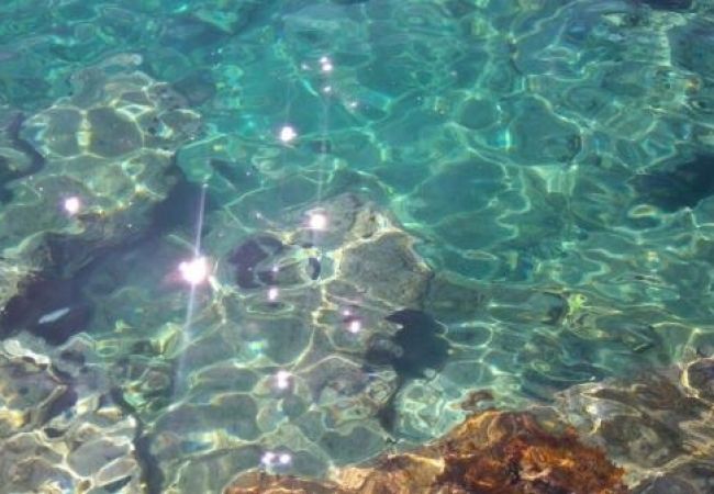 Apartament w Sevid - Apartament w Sevid z Widok na morze, taras, Klimatyzacja, WIFI (4746-3) Apartament w Sevid - Apartament w Sevid z Widok na morze, taras, Klimatyzacja, WIFI (4746-3)