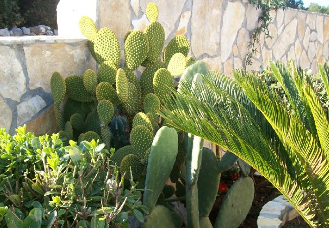 Apartament w Vinišce - Apartament w Vinišće z balkon, Klimatyzacja, WIFI, Pralka (4753-1) Apartament w Vinišce - Apartament w Vinišće z balkon, Klimatyzacja, WIFI, Pralka (4753-1)