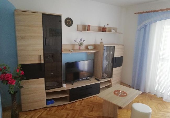 Apartament w Vir - Apartament w Vir z taras, Klimatyzacja, WIFI, Pralka (4776-2) Apartament w Vir - Apartament w Vir z taras, Klimatyzacja, WIFI, Pralka (4776-2)