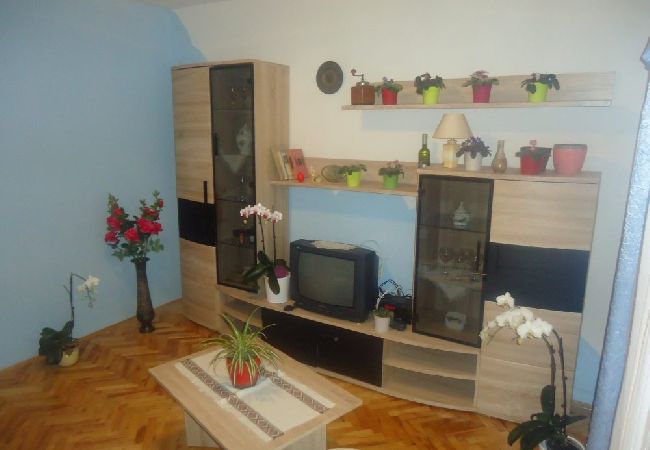 Apartament w Vir - Apartament w Vir z taras, Klimatyzacja, WIFI, Pralka (4776-2) Apartament w Vir - Apartament w Vir z taras, Klimatyzacja, WIFI, Pralka (4776-2)