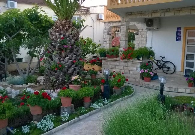 Apartament w Vir - Apartament w Vir z taras, Klimatyzacja, WIFI, Pralka (4776-2) Apartament w Vir - Apartament w Vir z taras, Klimatyzacja, WIFI, Pralka (4776-2)