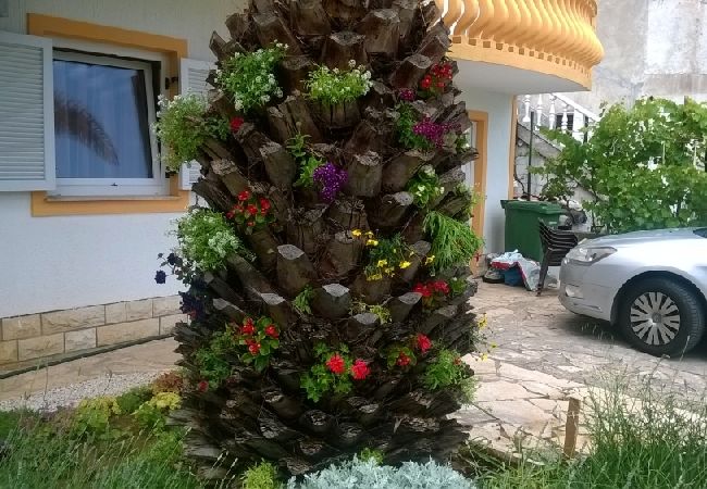 Apartament w Vir - Apartament w Vir z taras, Klimatyzacja, WIFI, Pralka (4776-2) Apartament w Vir - Apartament w Vir z taras, Klimatyzacja, WIFI, Pralka (4776-2)