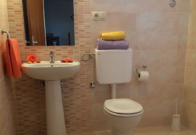 Apartament w Slatine - Apartament w Slatine z Widok na morze, balkon, Klimatyzacja, WIFI (4782-1) Apartament w Slatine - Apartament w Slatine z Widok na morze, balkon, Klimatyzacja, WIFI (4782-1)