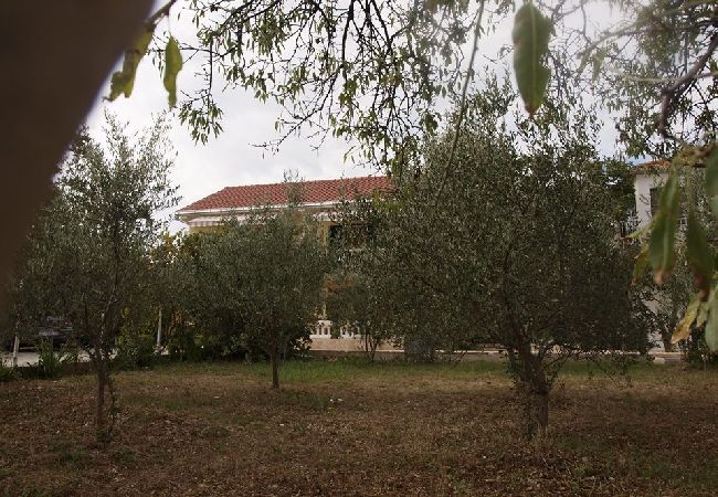 Apartament w Slatine - Apartament w Slatine z taras, Klimatyzacja, WIFI, Pralka (4784-3) Apartament w Slatine - Apartament w Slatine z taras, Klimatyzacja, WIFI, Pralka (4784-3)