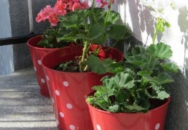 Apartament w Slatine - Apartament w Slatine z Widok na morze, taras, WIFI (4785-1) Apartament w Slatine - Apartament w Slatine z Widok na morze, taras, WIFI (4785-1)