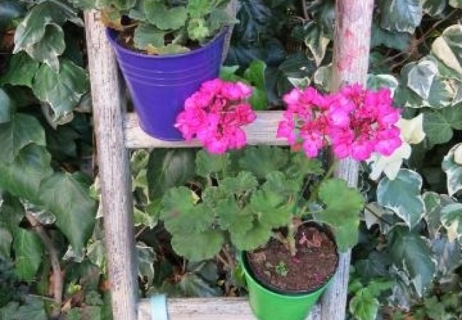 Apartament w Slatine - Apartament w Slatine z Widok na morze, taras, Klimatyzacja, WIFI (4785-2) Apartament w Slatine - Apartament w Slatine z Widok na morze, taras, Klimatyzacja, WIFI (4785-2)