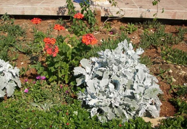 Apartament w Pirovac - Apartament w Pirovac z taras, Klimatyzacja, WIFI, Pralka (4793-1) Apartament w Pirovac - Apartament w Pirovac z taras, Klimatyzacja, WIFI, Pralka (4793-1)