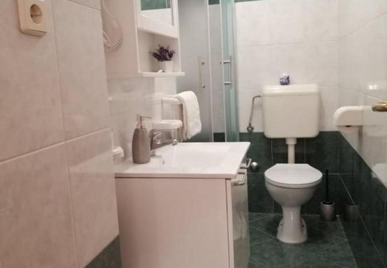 Apartament w Nin - Apartament w Zaton (Zadar) z Widok na morze, balkon, Klimatyzacja, WIFI (4810-1)