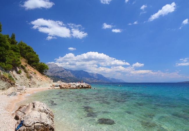 Apartament w Podgora - Apartament w Podgora z taras, Klimatyzacja, WIFI (4492-6) Apartament w Podgora - Apartament w Podgora z taras, Klimatyzacja, WIFI (4492-6)