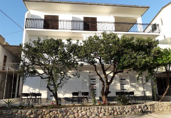 Apartament w Podgora - Apartament w Podgora z taras, Klimatyzacja, WIFI (4492-8) Apartament w Podgora - Apartament w Podgora z taras, Klimatyzacja, WIFI (4492-8)