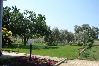 Apartament w Zaton - Apartament w Zaton (Zadar) z taras, Klimatyzacja, WIFI, Pralka (4814-5)