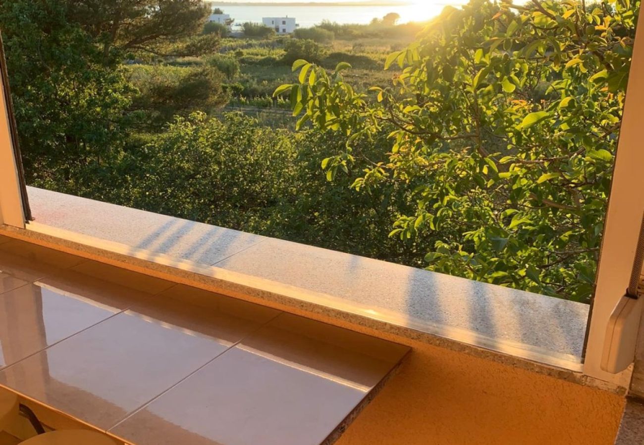 Apartament w Vrsi - Apartment in Vrsi with Seaview, Terrace, Air condition, WIFI (4824-7)