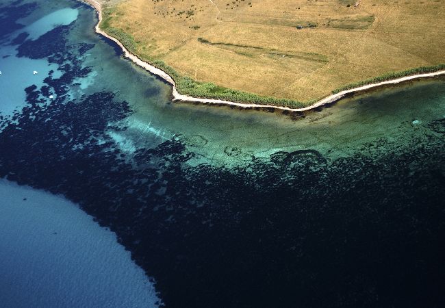 Apartament w Nerezine - Apartament w Nerezine z Klimatyzacja, WIFI, Pralka, Zmywarka (4827-2) Apartament w Nerezine - Apartament w Nerezine z Klimatyzacja, WIFI, Pralka, Zmywarka (4827-2)